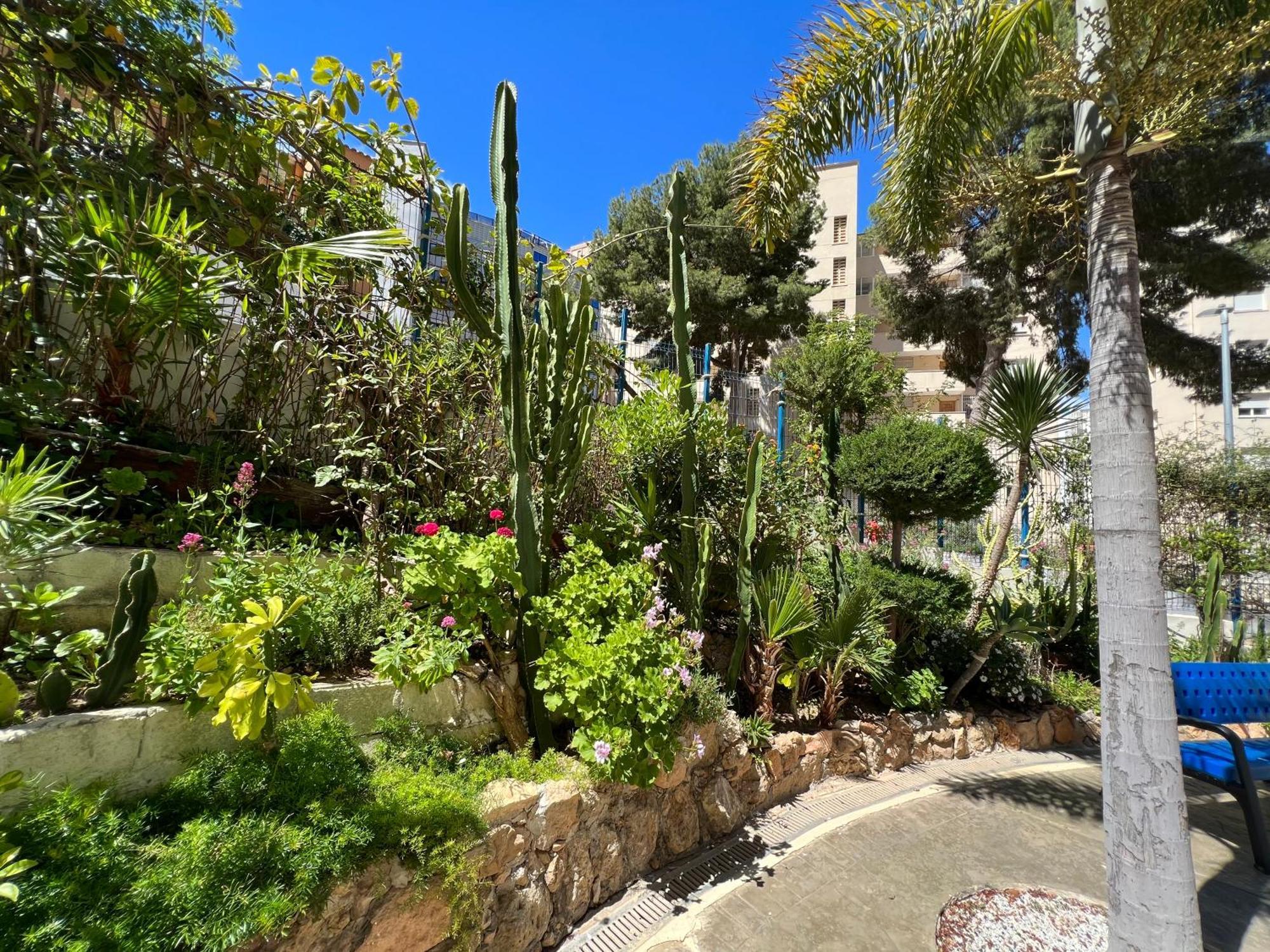 בנידורם Vistahermosa 22 מראה חיצוני תמונה